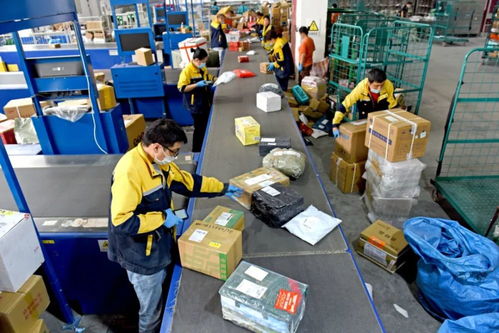 23條政策舉措出臺 優化互聯網接入及相關服務，促進行業高質量發展